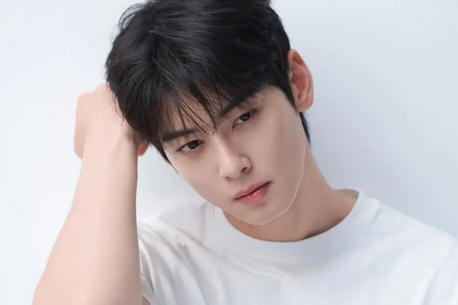 Cha Eun Woo's Agency Issues New Statement Regarding Tax Evasion Allegations